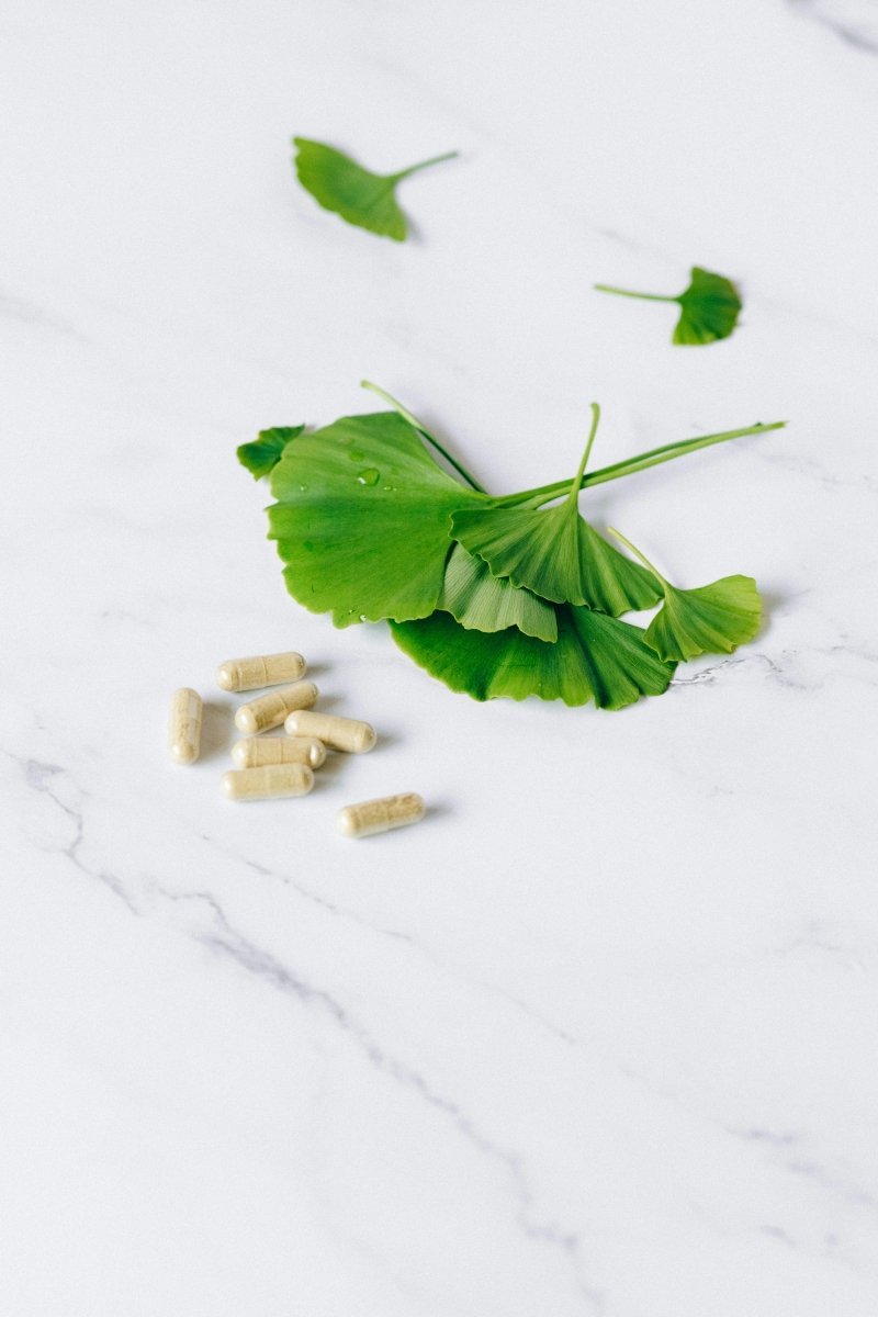 Ways to benefits from Gingko Biloba - Brainrise