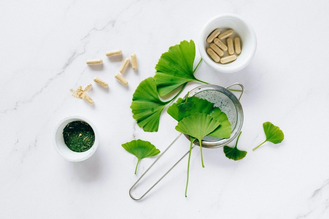What is Gingko Biloba? - Brainrise