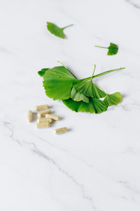 Ways to benefits from Gingko Biloba - Brainrise