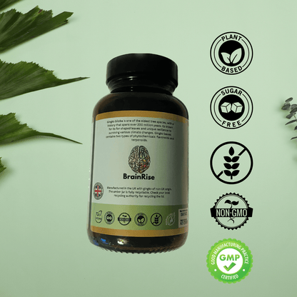 #Brainrise# #Gingko Biloba#