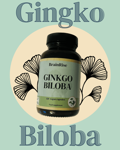 Brainrise Gingko Biloba